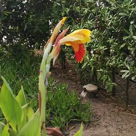 Villalba Casa de Férias *